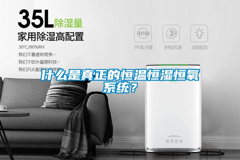 什么是真正的恒溫恒濕恒氧系統？