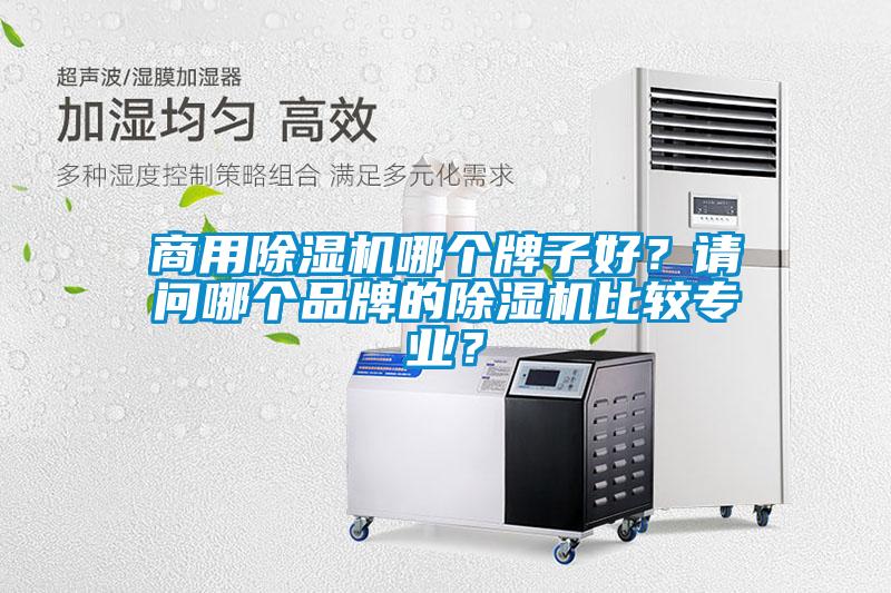 商用除濕機哪個牌子好？請問哪個品牌的除濕機比較專業(yè)？