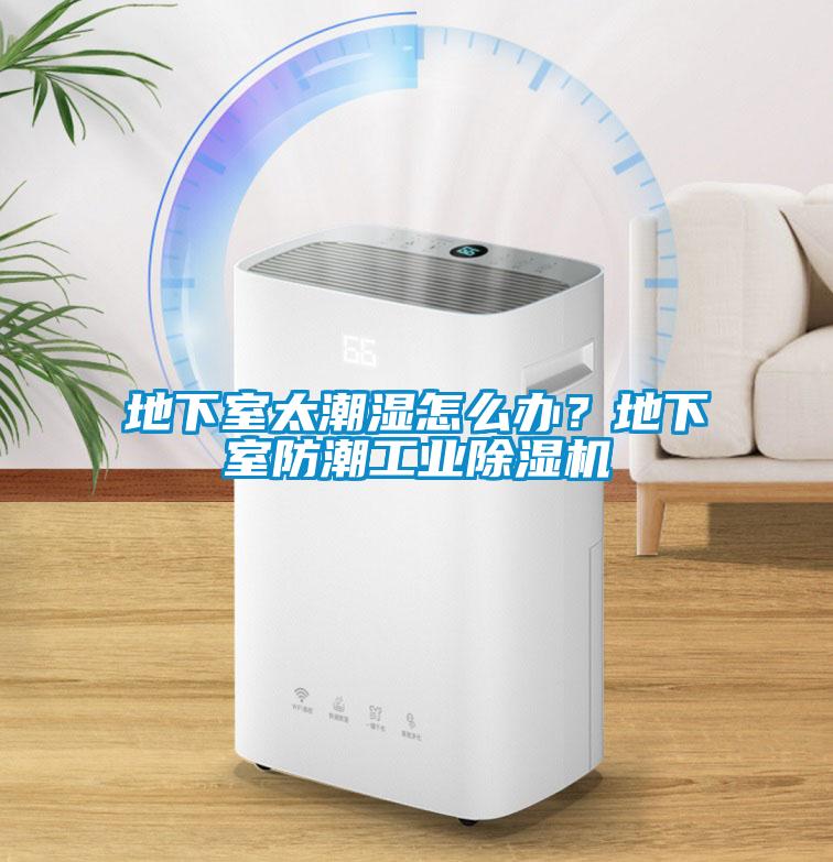 地下室太潮濕怎么辦？地下室防潮工業除濕機