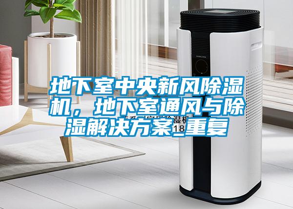 地下室中央新風(fēng)除濕機，地下室通風(fēng)與除濕解決方案_重復(fù)