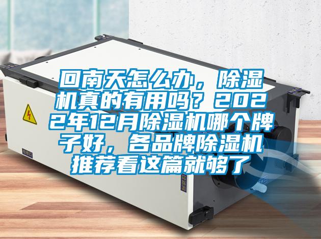 回南天怎么辦，除濕機真的有用嗎？2022年12月除濕機哪個牌子好，各品牌除濕機推薦看這篇就夠了