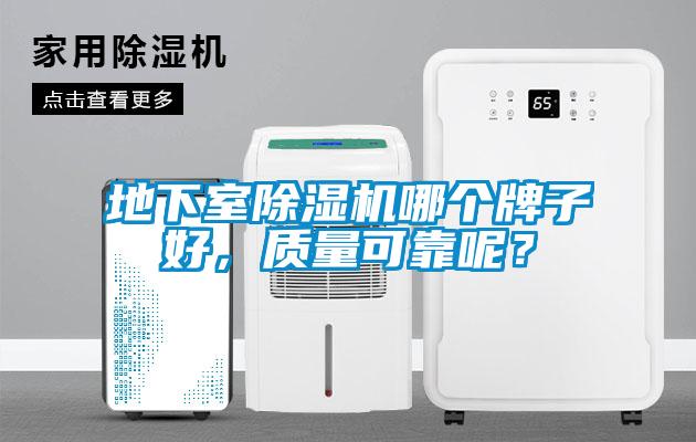 地下室除濕機哪個牌子好，質量可靠呢？