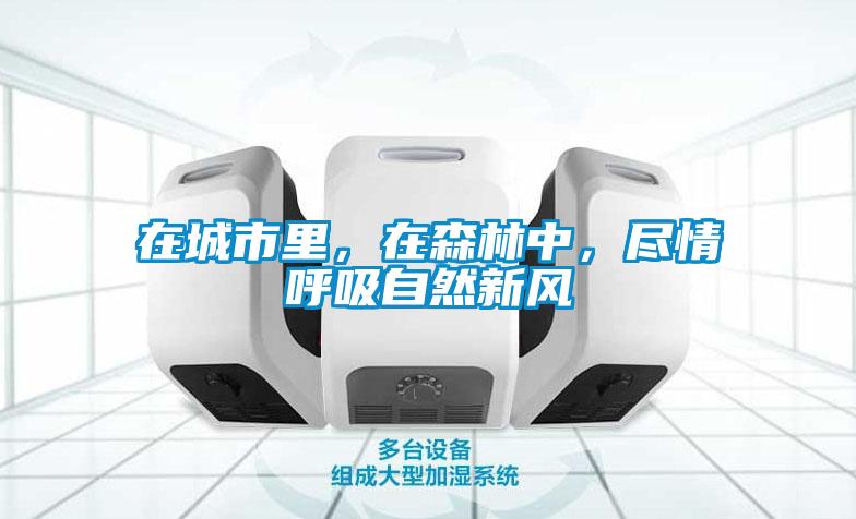 在城市里，在森林中，盡情呼吸自然新風
