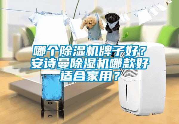 哪個(gè)除濕機(jī)牌子好？安詩(shī)曼除濕機(jī)哪款好適合家用？