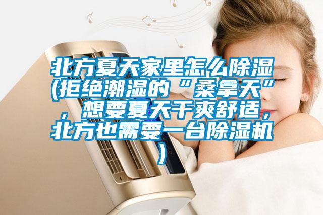 北方夏天家里怎么除濕(拒絕潮濕的“桑拿天”，想要夏天干爽舒適，北方也需要一臺除濕機)