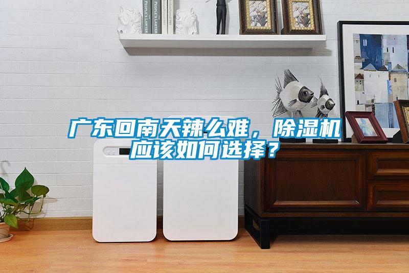 廣東回南天辣么難，除濕機應該如何選擇？