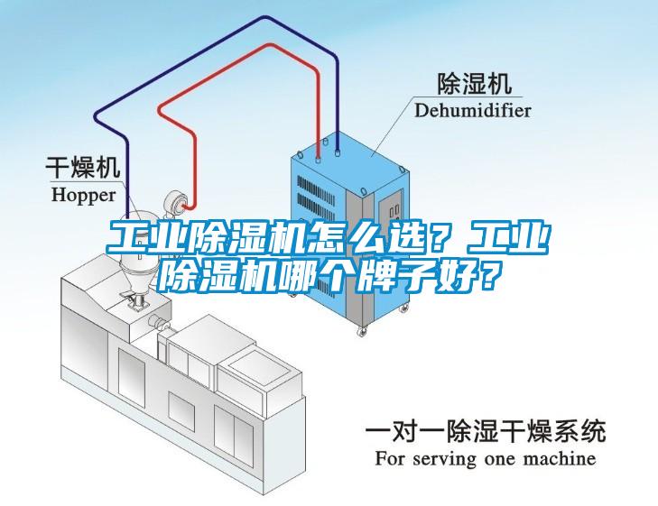 工業除濕機怎么選？工業除濕機哪個牌子好？