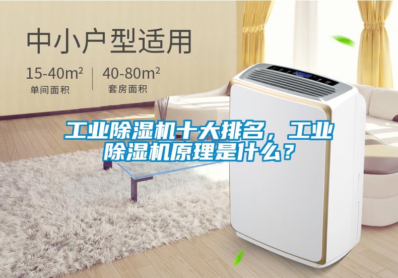 工業(yè)除濕機十大排名，工業(yè)除濕機原理是什么？