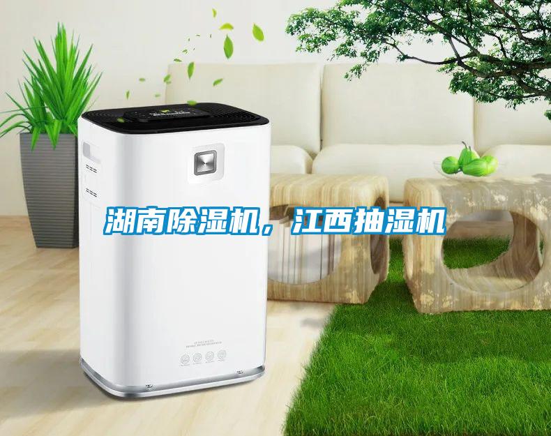 湖南除濕機，江西抽濕機