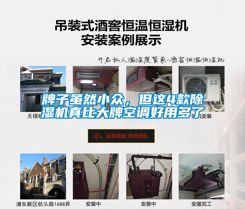 牌子雖然小眾，但這4款除濕機真比大牌空調好用多了