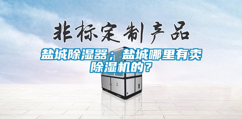 鹽城除濕器；鹽城哪里有賣(mài)除濕機(jī)的？