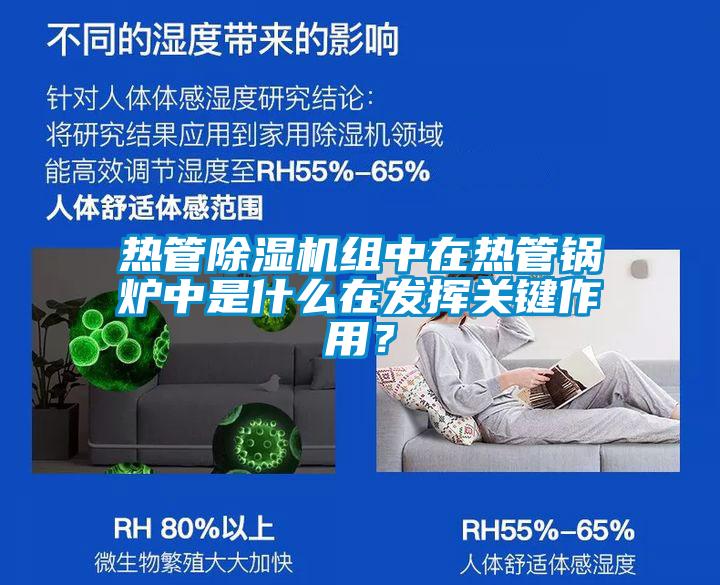 熱管除濕機(jī)組中在熱管鍋爐中是什么在發(fā)揮關(guān)鍵作用？