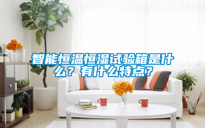 智能恒溫恒濕試驗(yàn)箱是什么？有什么特點(diǎn)？