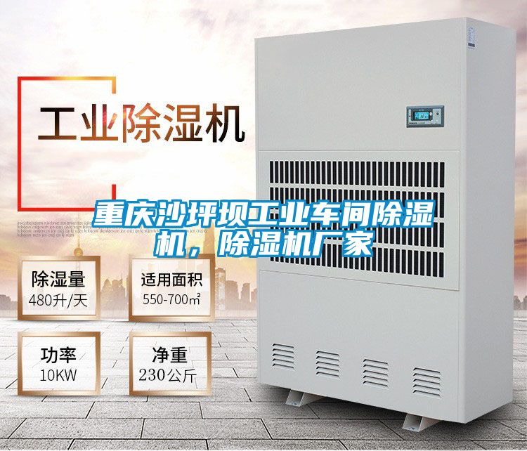 重慶沙坪壩工業車間除濕機，除濕機廠家