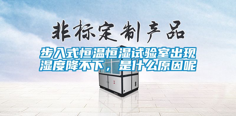 步入式恒溫恒濕試驗(yàn)室出現(xiàn)濕度降不下，是什么原因呢