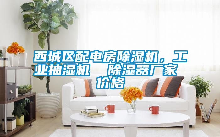 西城區(qū)配電房除濕機，工業(yè)抽濕機  除濕器廠家 價格