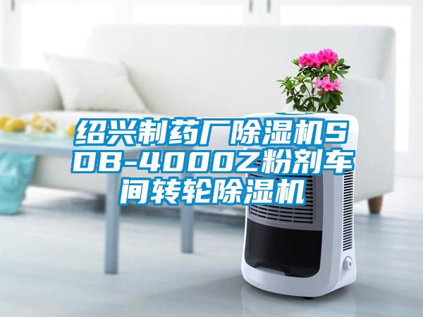 紹興制藥廠除濕機(jī)SDB-4000Z粉劑車(chē)間轉(zhuǎn)輪除濕機(jī)