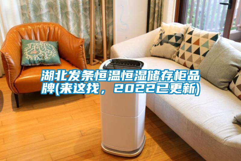 湖北發條恒溫恒濕儲存柜品牌(來這找，2022已更新)