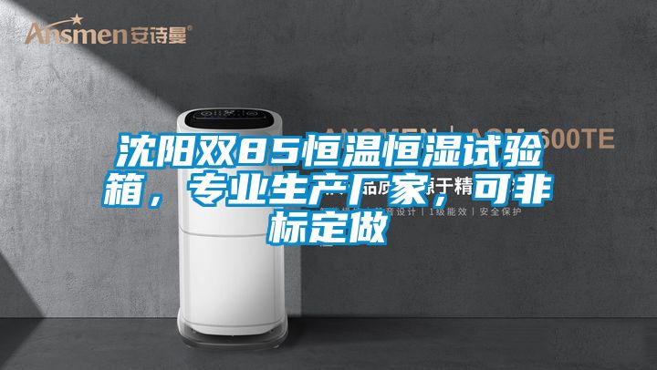 沈陽雙85恒溫恒濕試驗箱，專業(yè)生產(chǎn)廠家，可非標定做