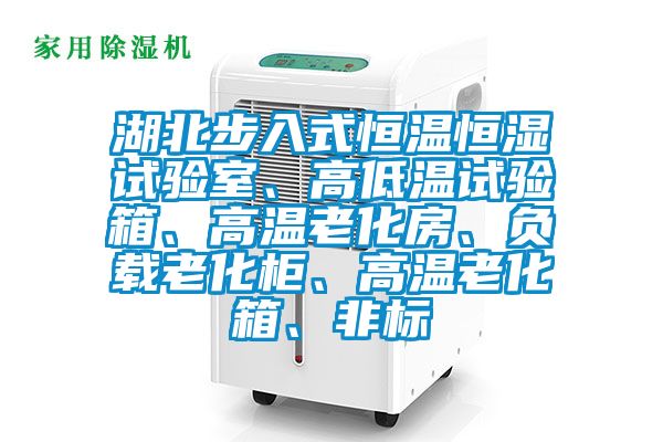 湖北步入式恒溫恒濕試驗(yàn)室、高低溫試驗(yàn)箱、高溫老化房、負(fù)載老化柜、高溫老化箱、非標(biāo)