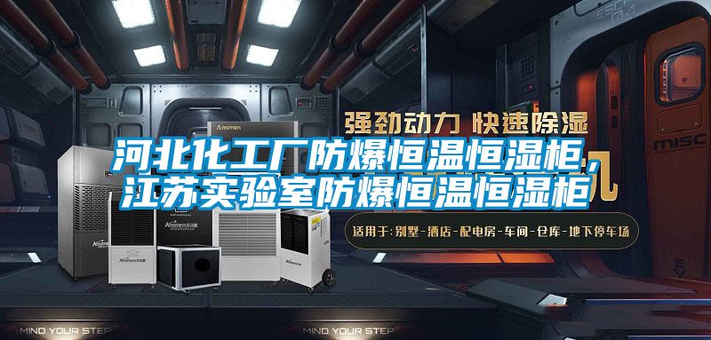 河北化工廠防爆恒溫恒濕柜，江蘇實驗室防爆恒溫恒濕柜