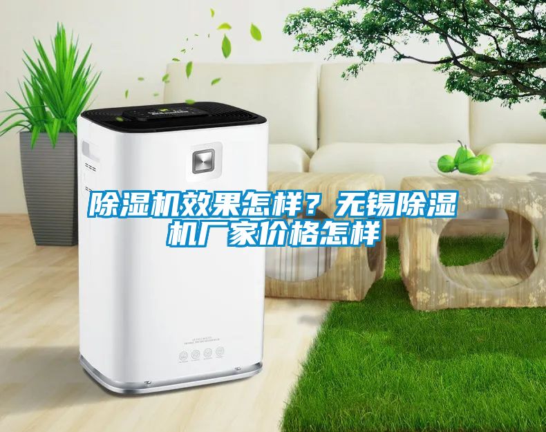 除濕機(jī)效果怎樣？無錫除濕機(jī)廠家價(jià)格怎樣