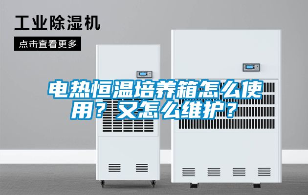 電熱恒溫培養箱怎么使用？又怎么維護？