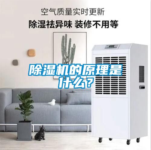 除濕機的原理是什么？