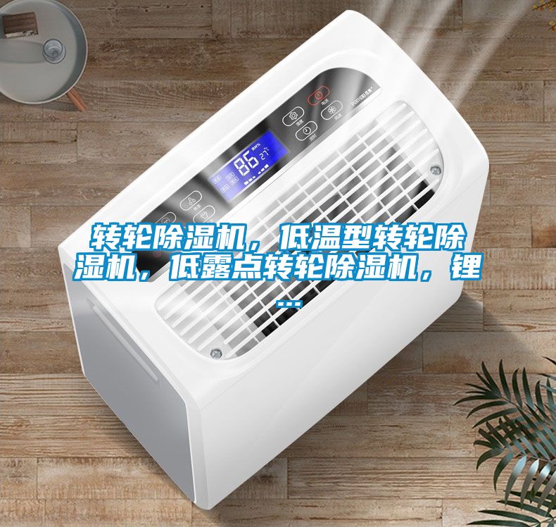 轉(zhuǎn)輪除濕機(jī)，低溫型轉(zhuǎn)輪除濕機(jī)，低露點(diǎn)轉(zhuǎn)輪除濕機(jī)，鋰 ...