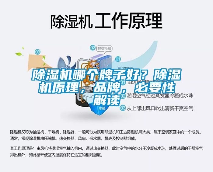 除濕機(jī)哪個(gè)牌子好？除濕機(jī)原理，品牌，必要性解讀