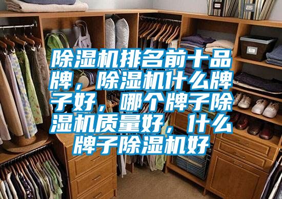 除濕機(jī)排名前十品牌，除濕機(jī)什么牌子好，哪個牌子除濕機(jī)質(zhì)量好，什么牌子除濕機(jī)好