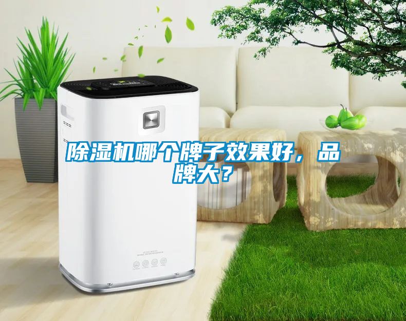 除濕機(jī)哪個(gè)牌子效果好，品牌大？