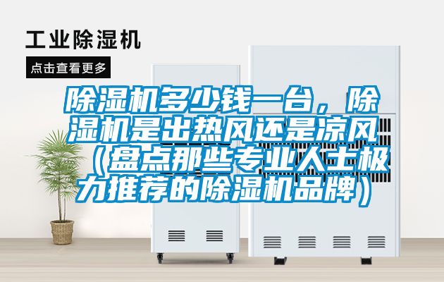 除濕機多少錢一臺，除濕機是出熱風還是涼風（盤點那些專業人士極力推薦的除濕機品牌）