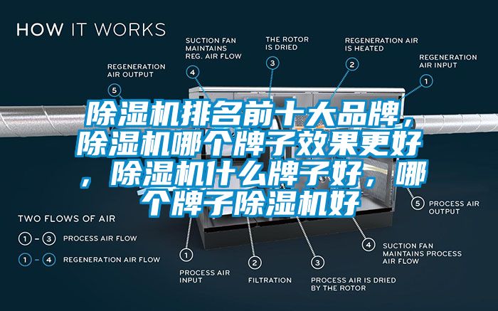 除濕機(jī)排名前十大品牌，除濕機(jī)哪個牌子效果更好，除濕機(jī)什么牌子好，哪個牌子除濕機(jī)好