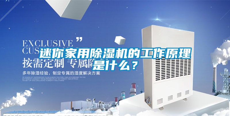 迷你家用除濕機的工作原理是什么？