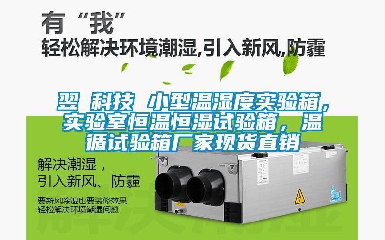 翌昇科技 小型溫濕度實(shí)驗(yàn)箱，實(shí)驗(yàn)室恒溫恒濕試驗(yàn)箱，溫循試驗(yàn)箱廠家現(xiàn)貨直銷