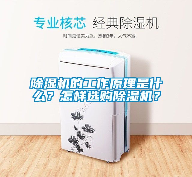 除濕機(jī)的工作原理是什么？怎樣選購(gòu)除濕機(jī)？