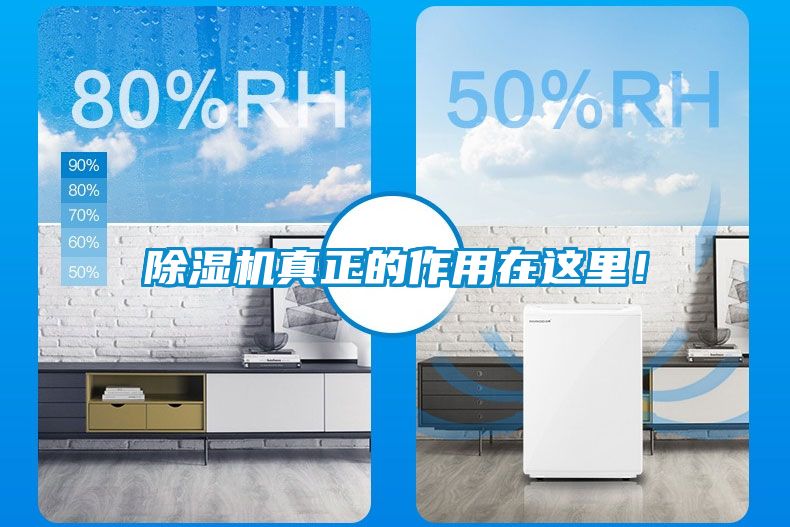 除濕機真正的作用在這里！
