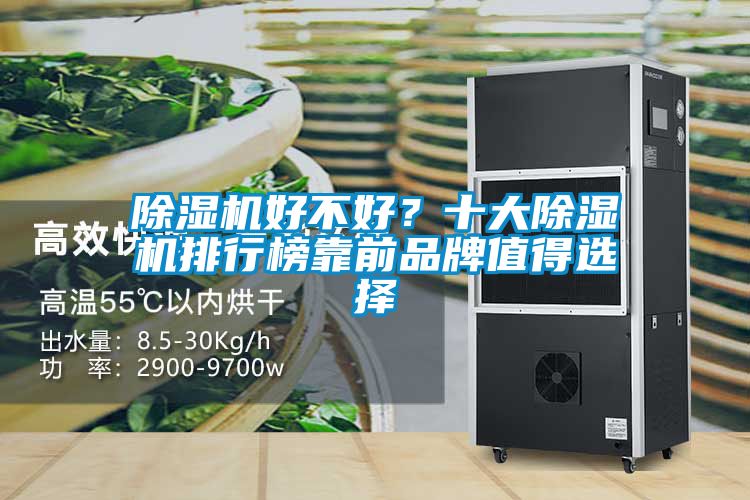 除濕機好不好？十大除濕機排行榜靠前品牌值得選擇