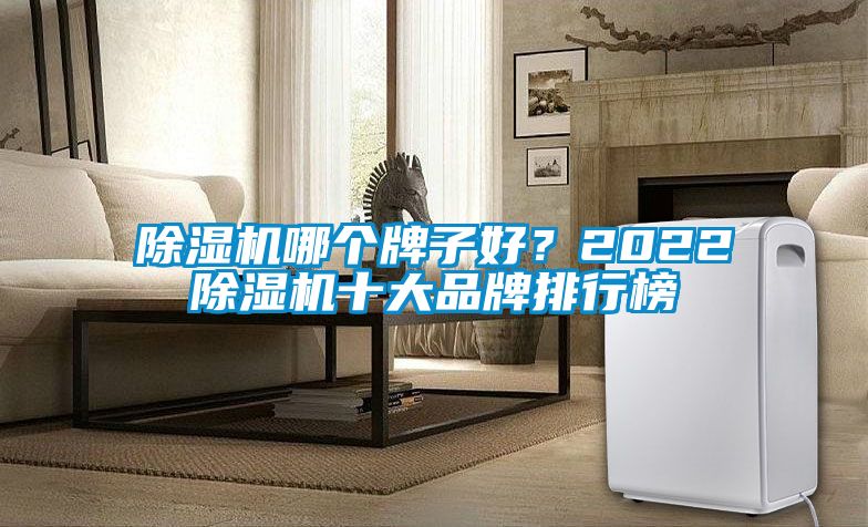 除濕機哪個牌子好？2022除濕機十大品牌排行榜