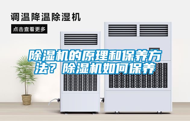除濕機的原理和保養方法？除濕機如何保養