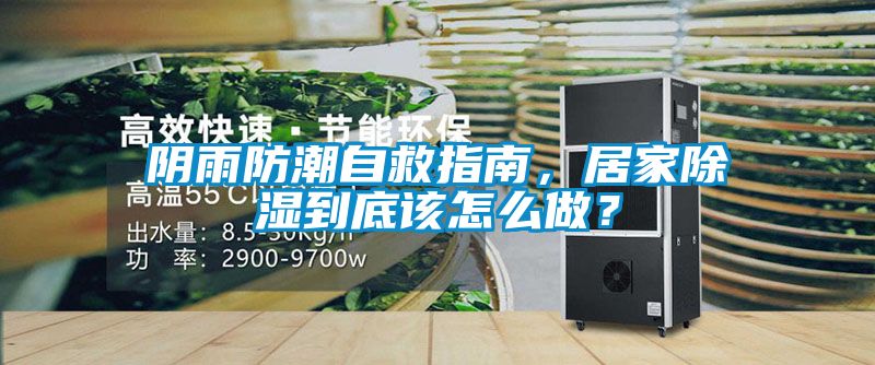 陰雨防潮自救指南，居家除濕到底該怎么做？