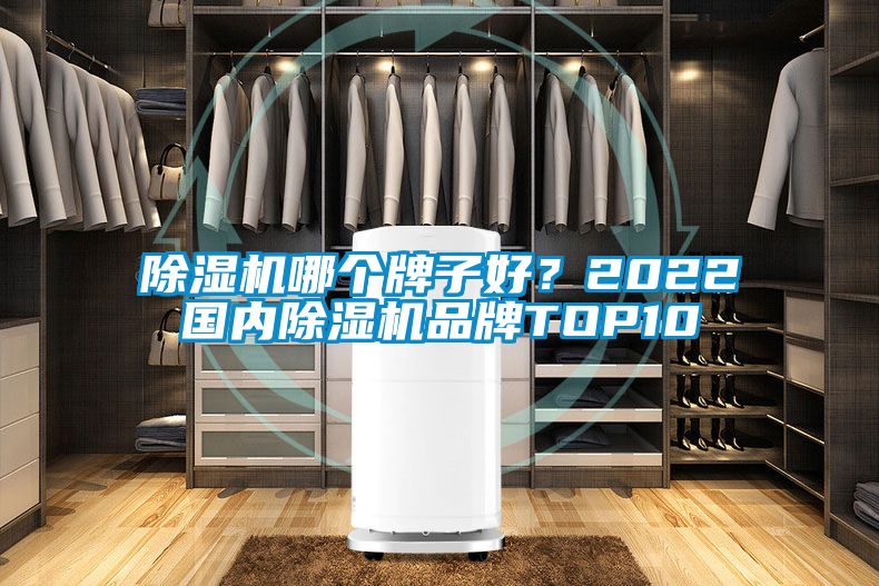 除濕機哪個牌子好？2022國內除濕機品牌TOP10