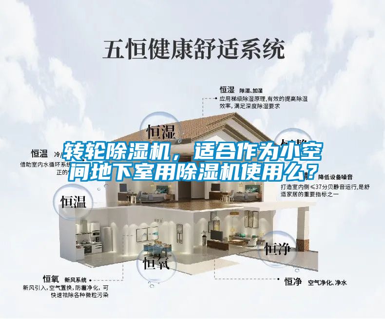轉(zhuǎn)輪除濕機(jī)，適合作為小空間地下室用除濕機(jī)使用么？