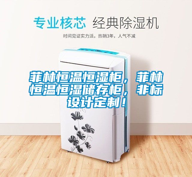 菲林恒溫恒濕柜，菲林恒溫恒濕儲存柜，非標(biāo)設(shè)計定制！