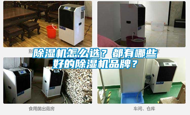除濕機怎么選？都有哪些好的除濕機品牌？