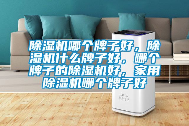 除濕機哪個牌子好，除濕機什么牌子好，哪個牌子的除濕機好，家用除濕機哪個牌子好