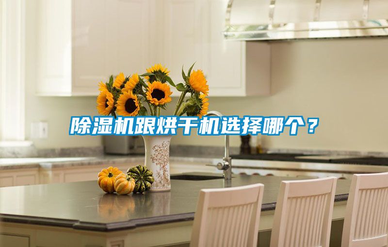 除濕機跟烘干機選擇哪個？