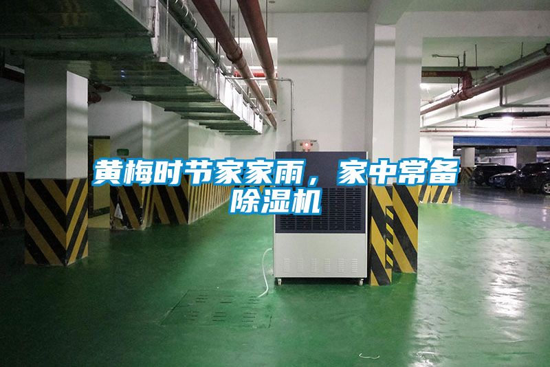 黃梅時節(jié)家家雨，家中常備除濕機