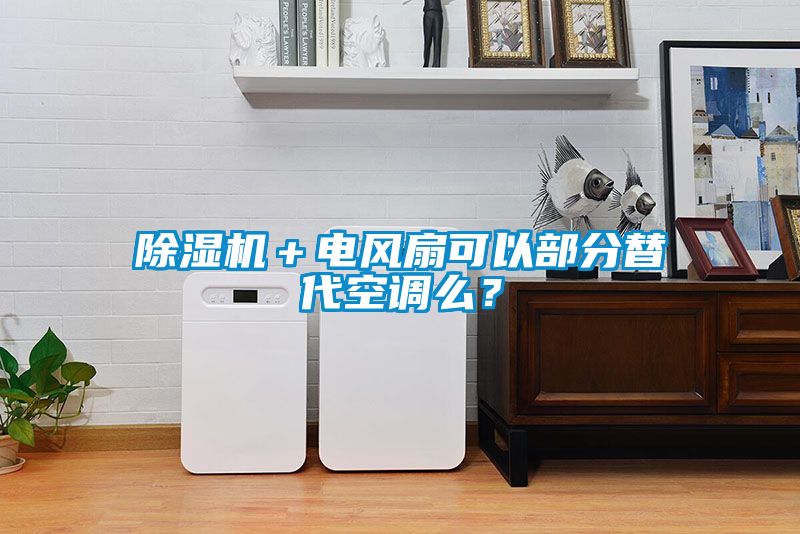 除濕機＋電風扇可以部分替代空調(diào)么？